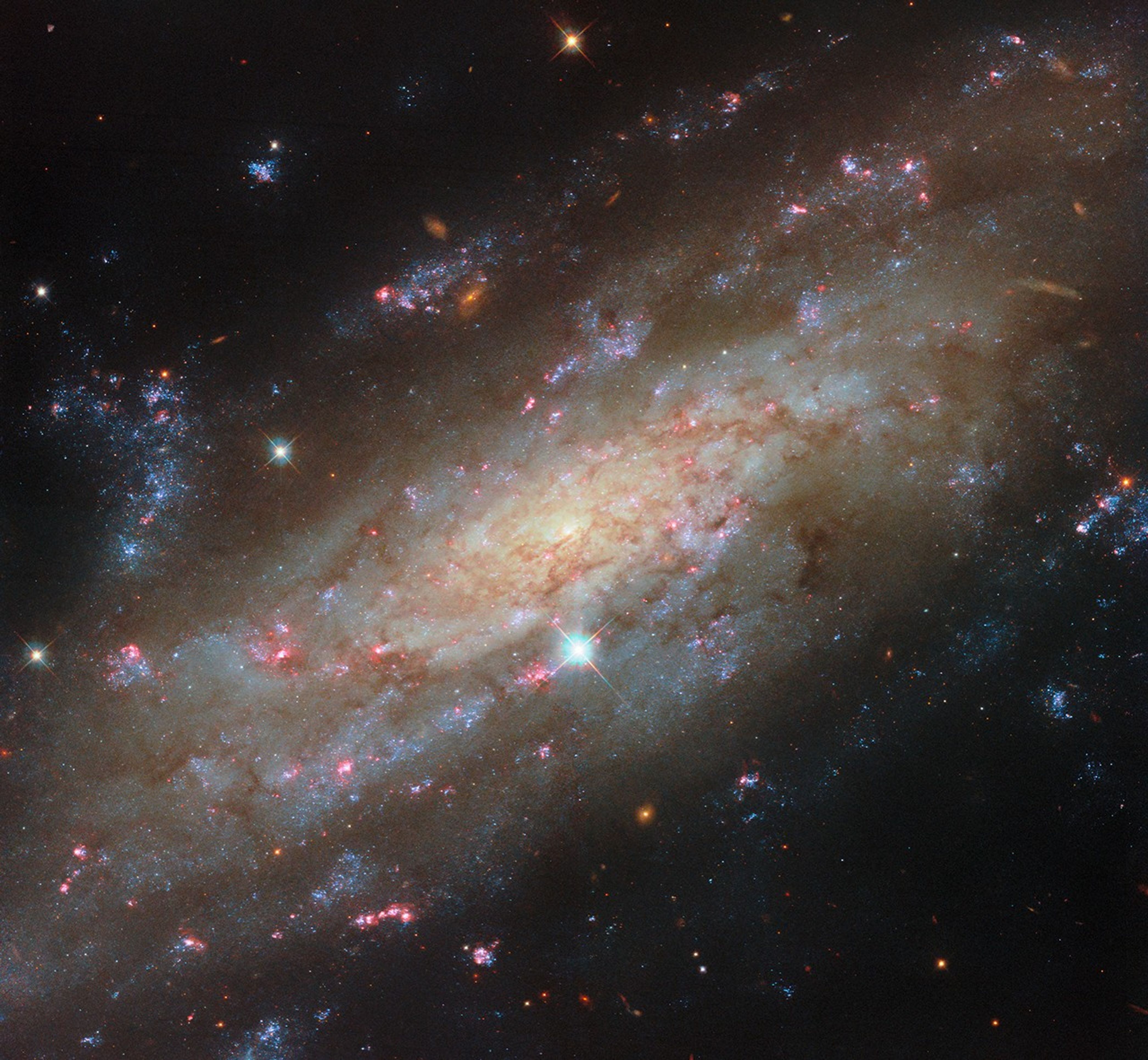A close view of spiral galaxy that is tilted at an angle, so that its disk fills the view from corner to corner. Its disk is yellow near to the center and pale blue farther out, showing cooler and hotter stars, respectively. Thin brown clouds of dust, glowing pink spots of star formation, and sparkling blue patches filled with star clusters swirl through the galaxy. Behind it, small orange dots are very distant galaxies.